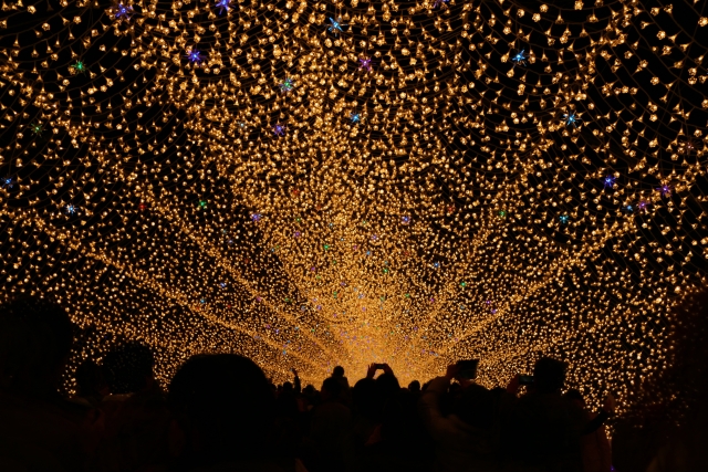 Winter Illumination in Japan