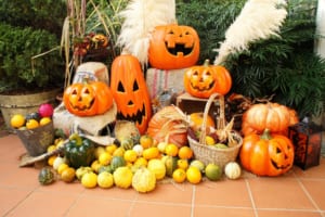 Tokyo in October : Best Things to Do
