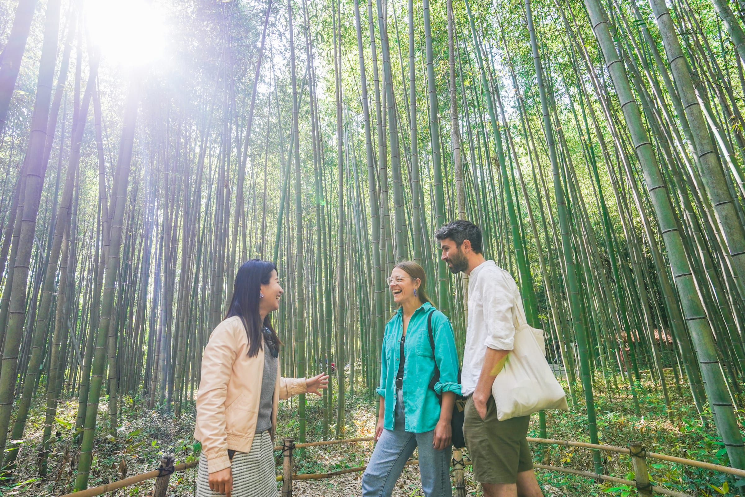 Kyoto Arashiyama Bamboo forest & Garden Walk Tour