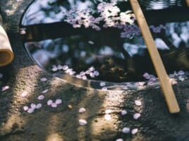 文化小竅門