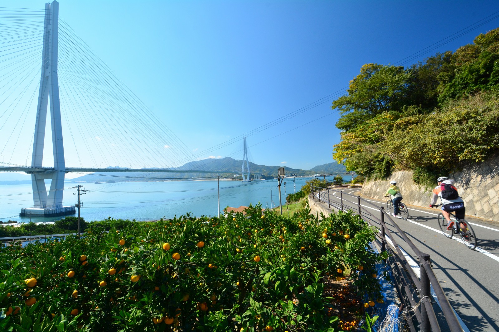 Cycling on the Shimanami Kaido