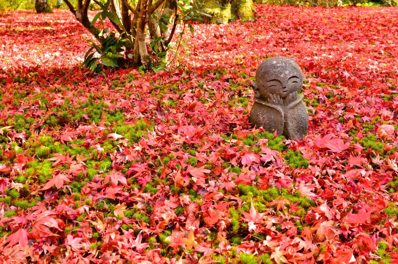 Autumn in Japan: 10 Best Things to Do