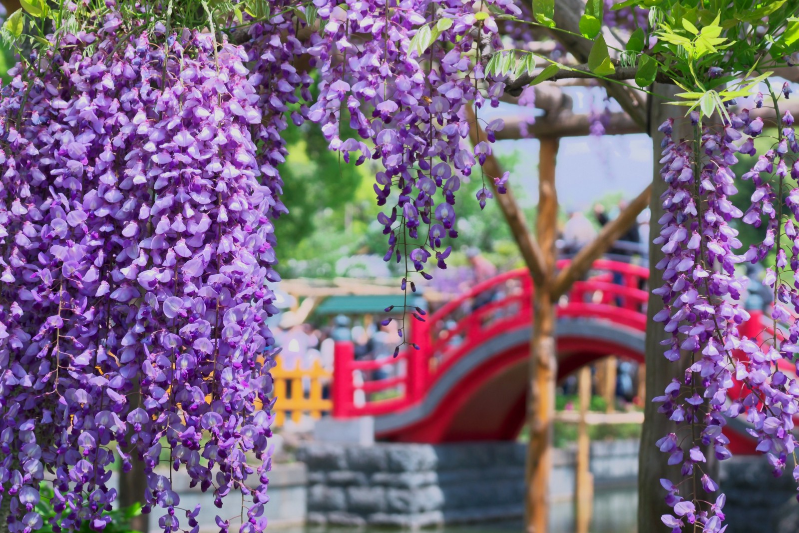 12 Best Things to Do in Tokyo in May