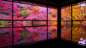 10 Best Events in Japan in November