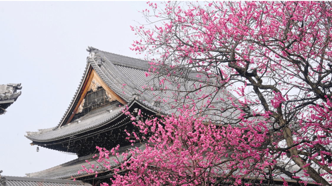 February in Kyoto-min