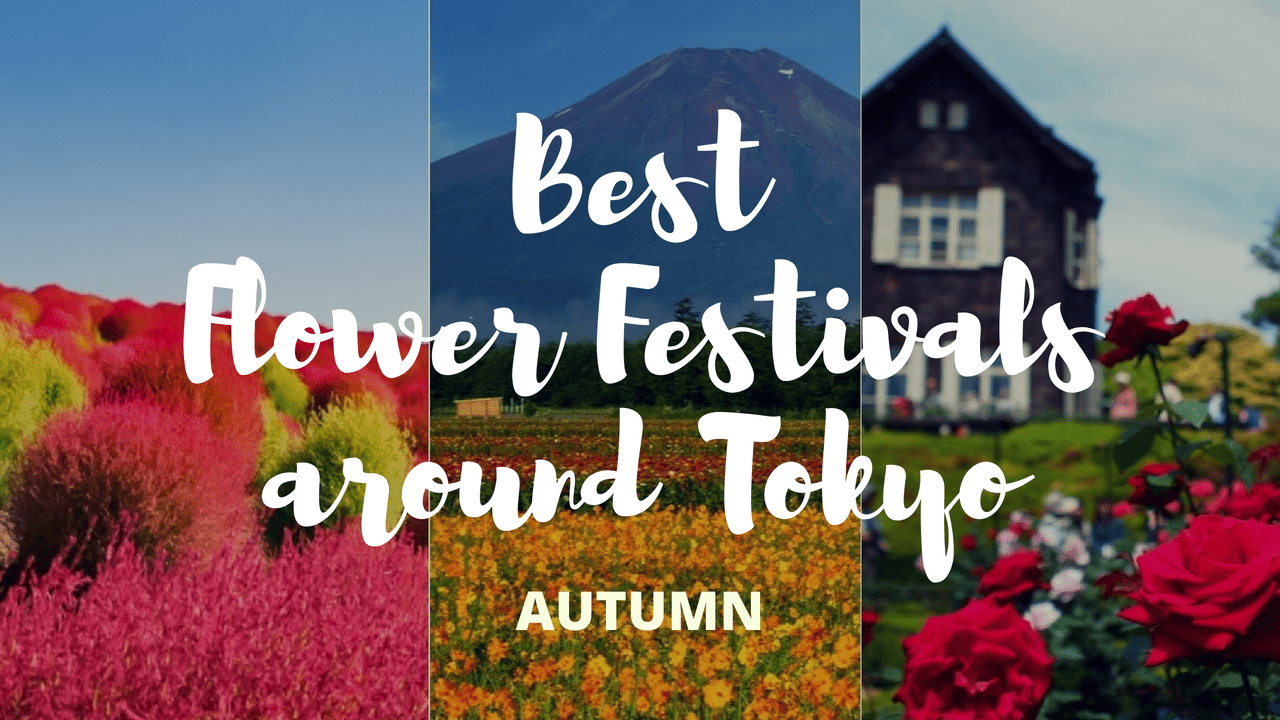 7 Must-Visit Flower Festivals around Tokyo in Autumn