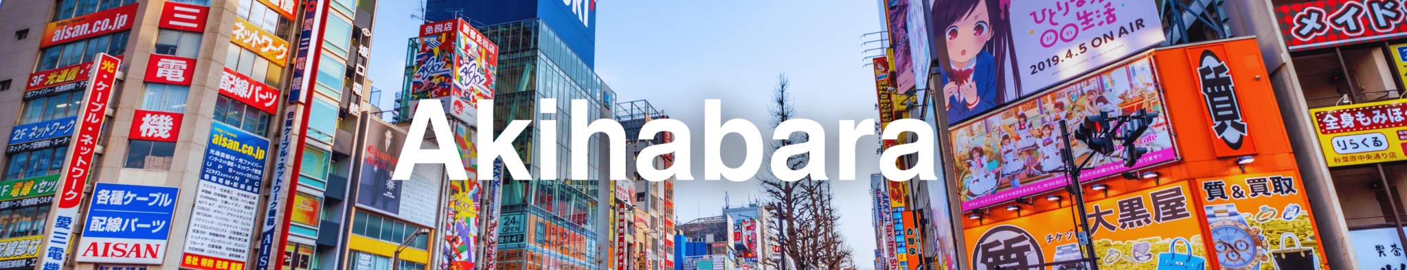 Things to Do in Akihabara