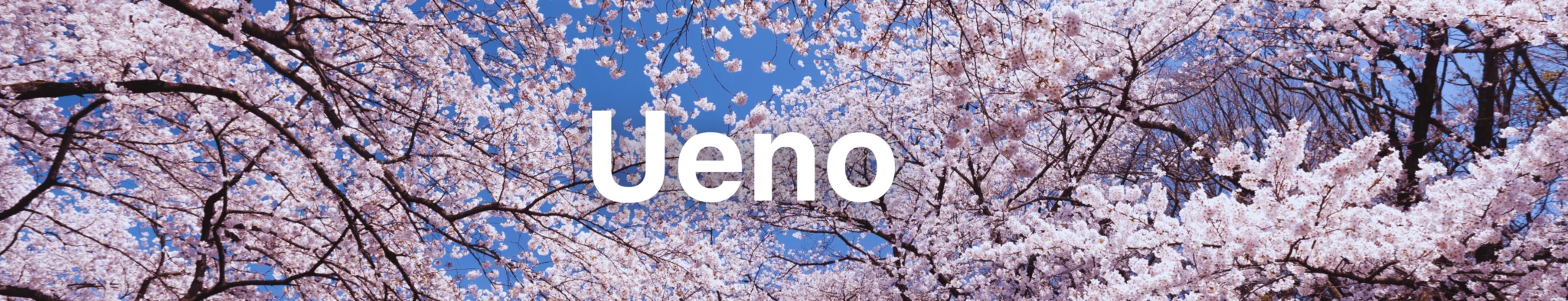 Things to Do in Ueno
